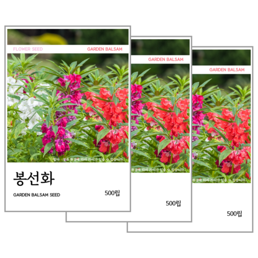 봉선화 씨앗 500립