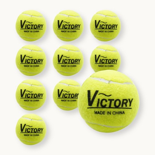 VICTORY 연습용 테니스공 10개입 연습구 연습볼