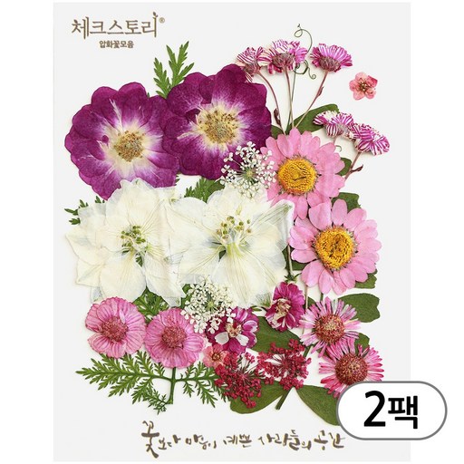 체크스토리 압화 컬러믹스 꽃모음 압화공예 2팩