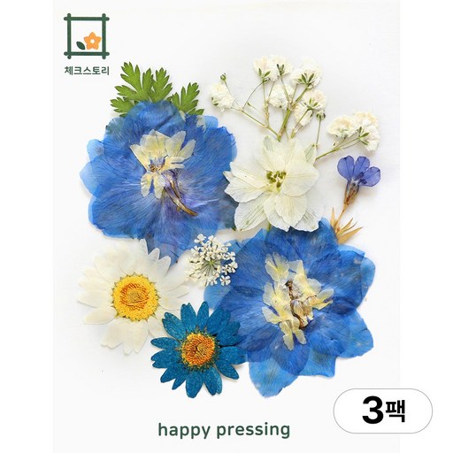 체크스토리 압화 컬러가든시리즈 누름꽃 꽃송이 압화재료 공예