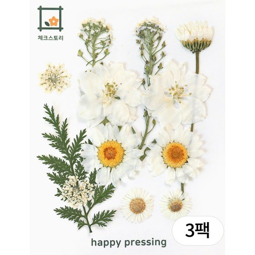 체크스토리 압화 미니컬러믹스 방과후수업 자연물놀이 꽃송이