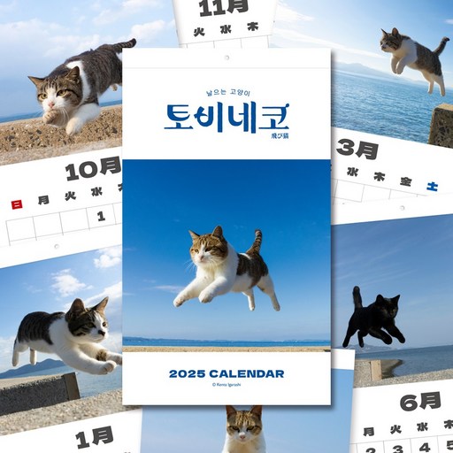 토비네코 달력 / 고양이 달력 / 벽걸이 달력 / 레트로 달력