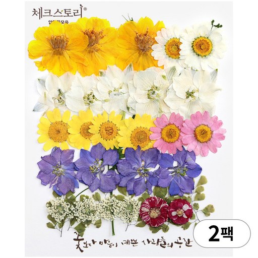 체크스토리 압화 누름꽃 꽃송이 압화공예 종합팩