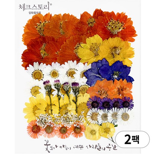 체크스토리 압화 누름꽃 꽃송이 압화공예 종합팩