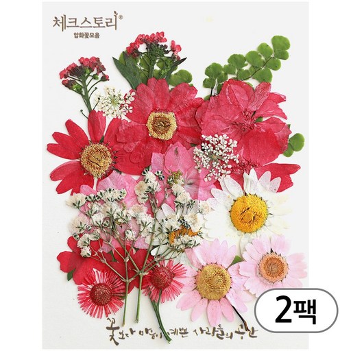 체크스토리 압화 컬러믹스 꽃모음 압화공예 2팩