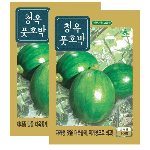 세인화분 청옥 풋호박 10립 - 전문가용 고급종
