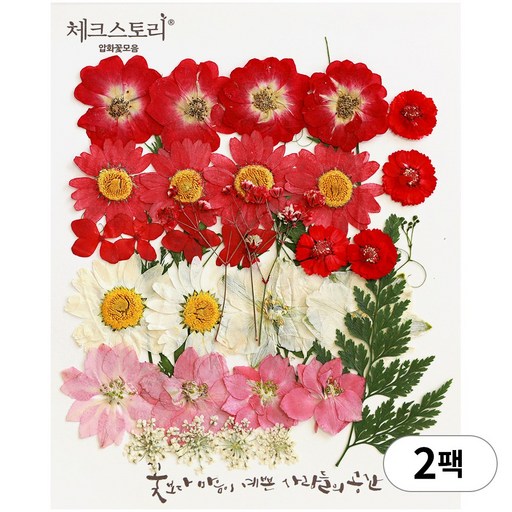 체크스토리 압화 누름꽃 꽃송이 압화공예 종합팩