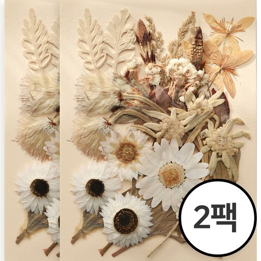 체크스토리 압화 대만압화 압화편지 청첩장액자 압화공예 압화수업 압화케이스