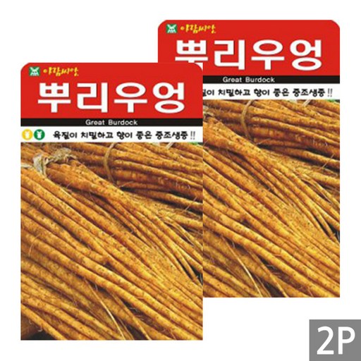 세인화분 뿌리우엉 200립 - 우엉 씨 씨앗