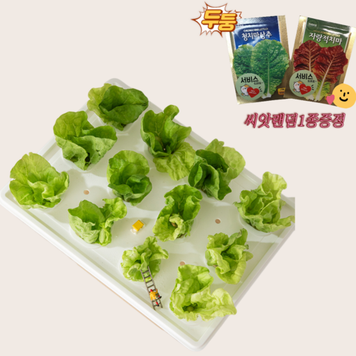 플랜펀 가정용스마트팜 스마트팜 식물재배기