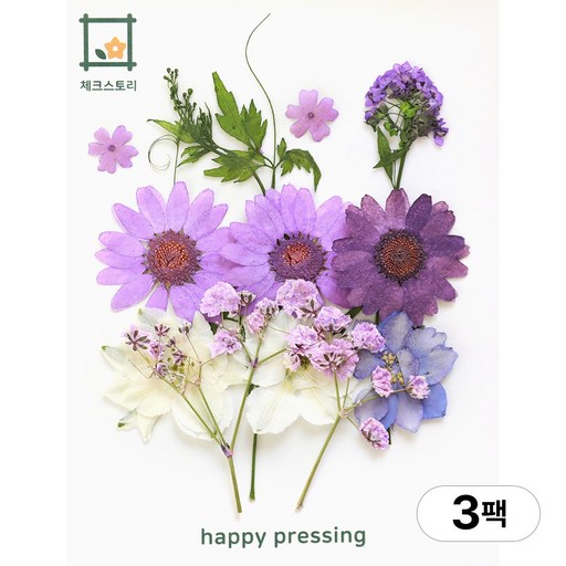 체크스토리 압화 컬러가든시리즈 누름꽃 꽃송이 압화재료 공예