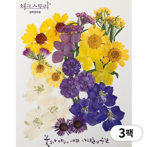 체크스토리 압화 누름꽃 꽃송이 압화공예 종합팩