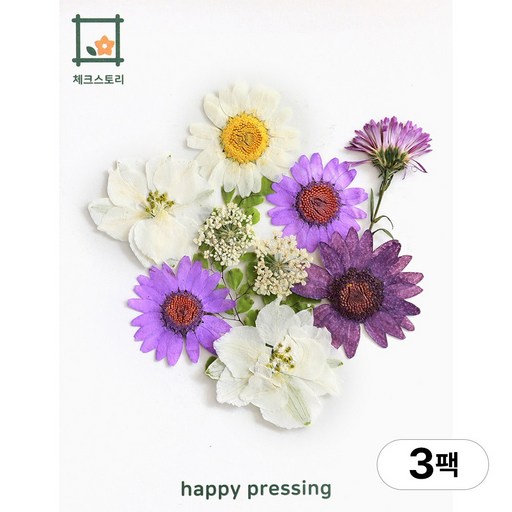 체크스토리 압화 컬러가든시리즈 누름꽃 꽃송이 압화재료 공예