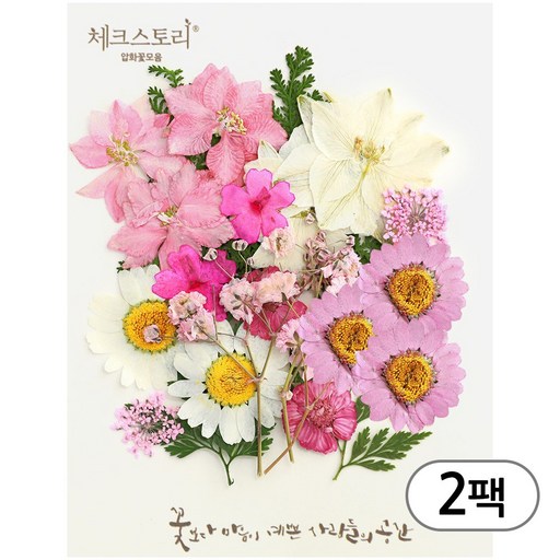 체크스토리 압화 컬러믹스 꽃모음 압화공예 2팩