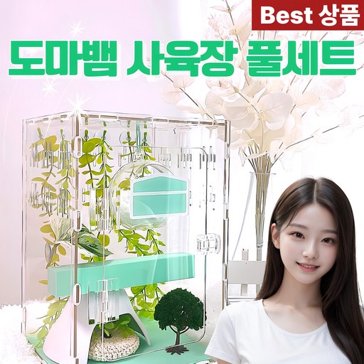 영리프 도마뱀 사육장 세트 구성품 포함 민트ver