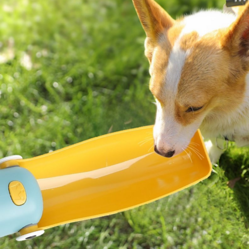 르와핏 반려동물 휴대용 물병 강아지 고양이 산책 간식 사료병 강아지 급수기