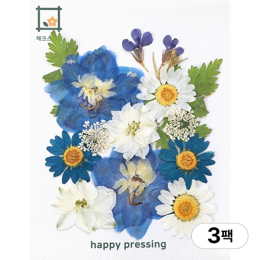 체크스토리 압화 컬러가든시리즈 누름꽃 꽃송이 압화재료 공예