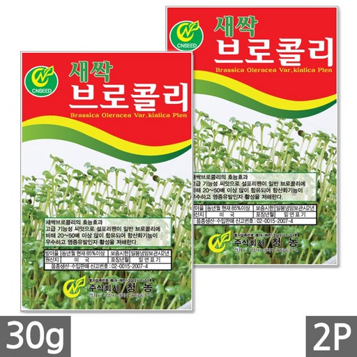 세인화분 새싹 브로콜리 씨앗 소포장 - 씨 쌈채소