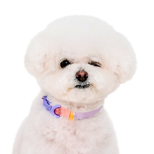 마이플러피 강아지 제로칼라 목줄