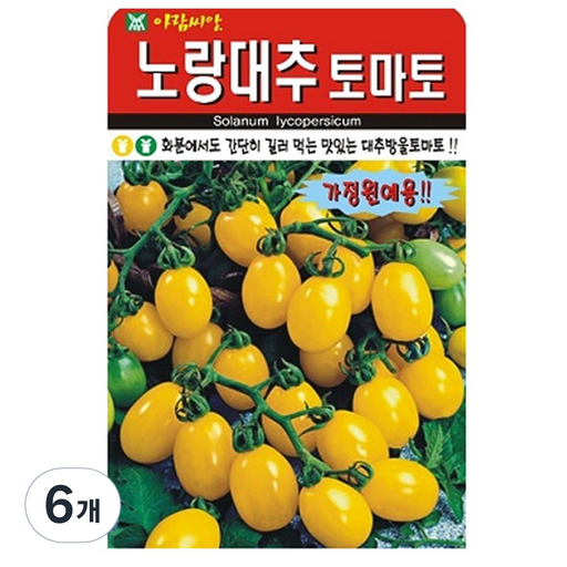 노랑대추토마토 씨앗 토마토 씨 종자