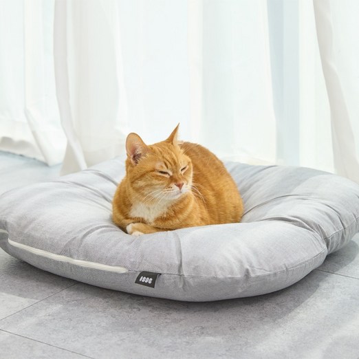 3651 멜티쿠션 고양이 방석