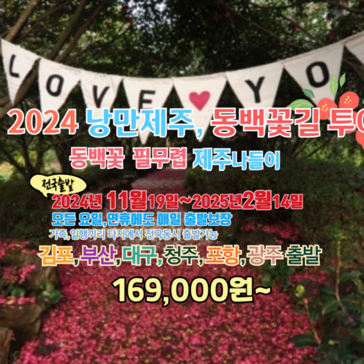 [제주] [전국出] 동백꽃필무렵 제주 초특가 실속3박4일 패키지(1119~0214)