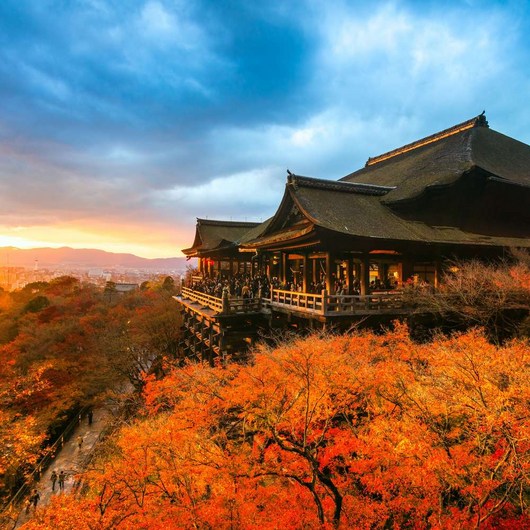 [오사카] #모두투어 [세계의 대온천][🍁단풍만끽🍁] 오사카/고베/교토 3일 (스파월드VS유니버셜스튜디오) #에어부산 #BJP302BXDA