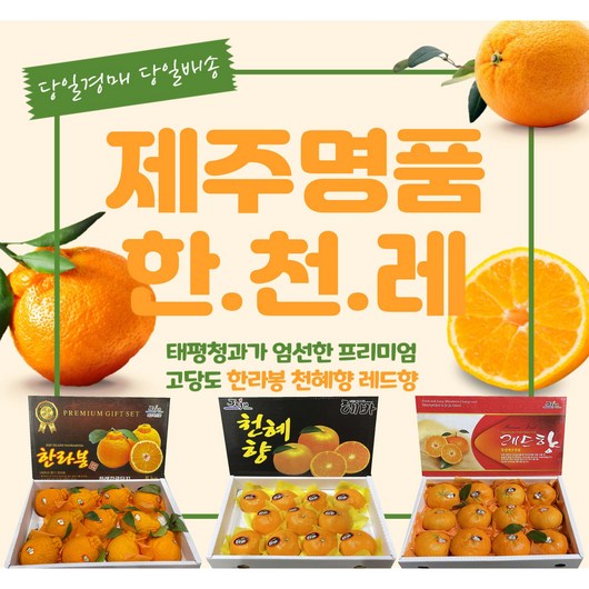 제주 한라봉 천혜향 레드향 3KG, 12~16과 황금향 중대과 3KG, 1박스