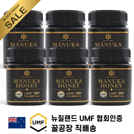 내추럴허니 마누카꿀 UMF20+, 6개, 250g