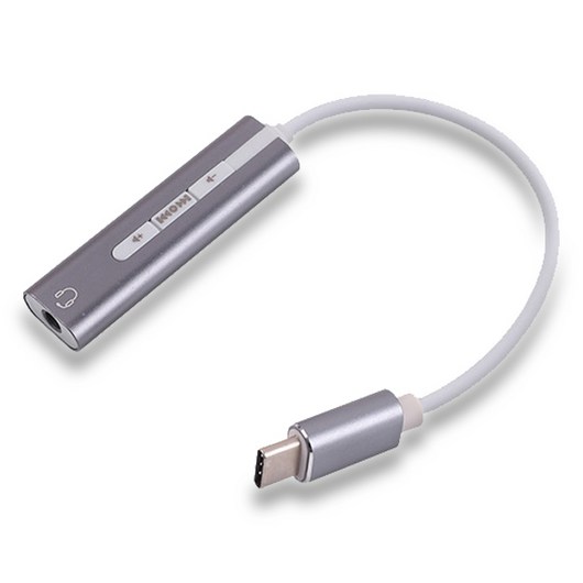 BT319 갤럭시 Z/제트/지폴드6 C타입 4mm 유선이어폰 연결 젠더, 실버BT320