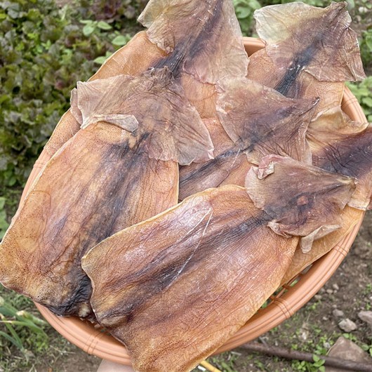몸통만 마른오징어 중량 500g / 1kg 선택1, 1개