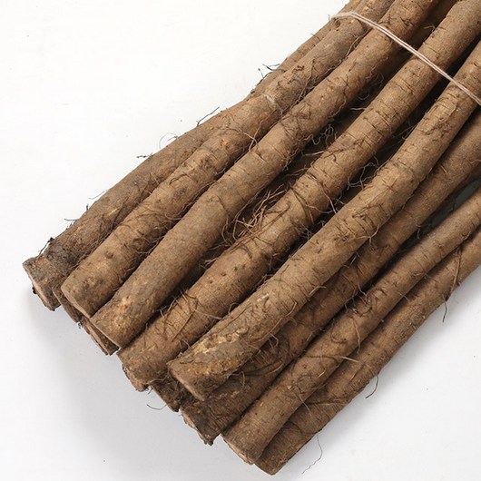 신선함 그대로 서안동농협 생우엉 2kg, 2kg (중품), 1개