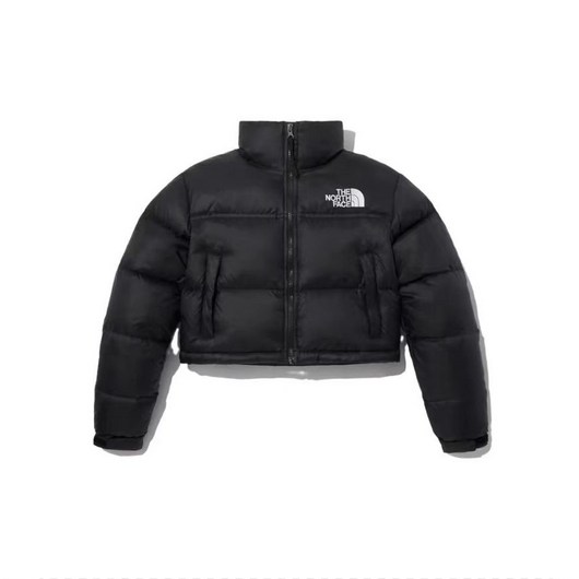 The North Face 노스페이스 화이트 라벨 노벨티 눕시 RDS 다운 자켓 블랙