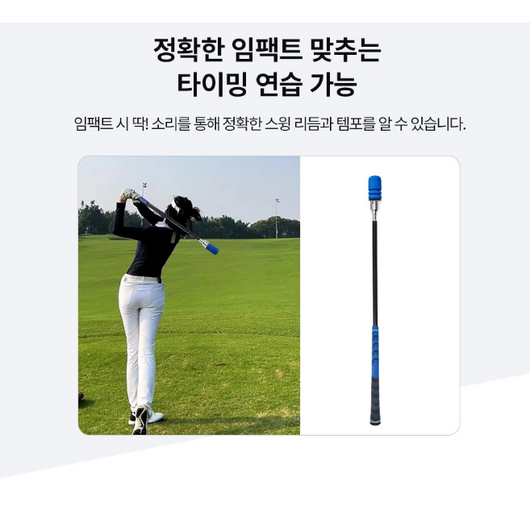 골프스윙 연습기 백스윙 자세 교정 스윙존 실내 골프스윙 연습기, 블랙, 1개