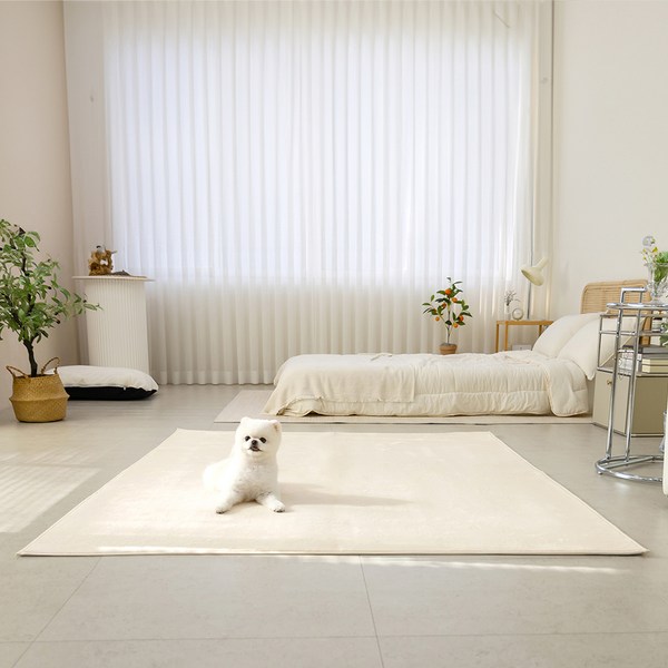 레토 단모 소프트 사계절 거실 카페트