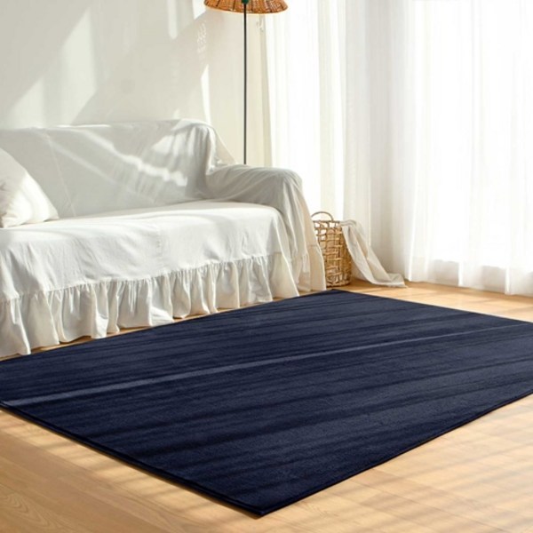  데이즈홈 레인보우 단모 워셔블 사계절 러그 카페트 