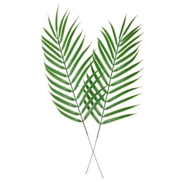 데코조화 - 아레카야자수잎 ( 47cm ), 1개, 1개