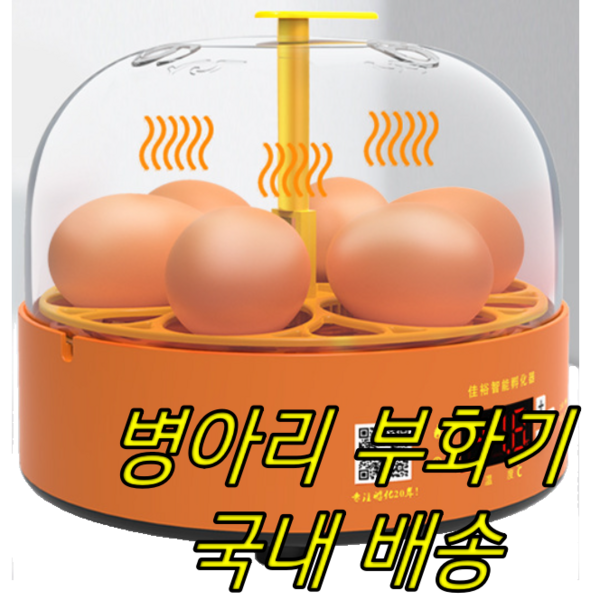 디와이 [국내배송] 6구 자동 회전 병아리 부화기 KC인증, 1개