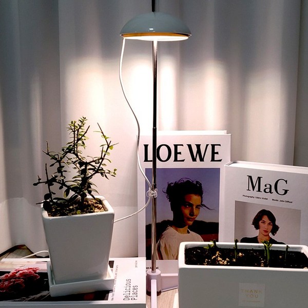  브루이 LED 우산형 식물등, 혼합색상 