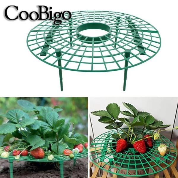 플랜트 딸기 스탠드 프레임 홀더 지원 과일 성장 보호 랙 식물 등반 덩굴 기둥용 정원 도구 5 개