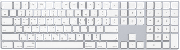 Apple Magic Keyboard with Numeric Keypad, 실버, 한국어