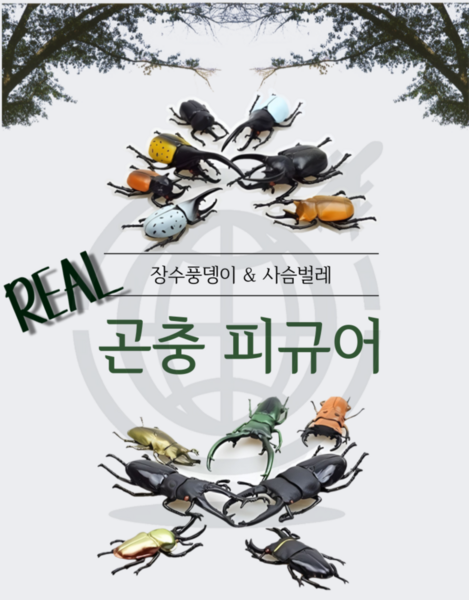 [더액세스 직수입 정품] 입체곤충도감 곤충피규어 장수풍뎅이 사슴벌레, 장수풍뎅이 7종, 1개