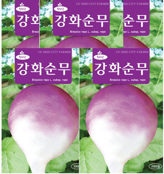 모두다 채소씨앗 강화순무씨앗(2000립), 5개