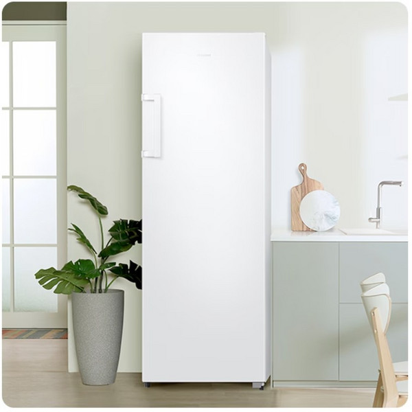 삼성전자 냉동고 227L 화이트 RZ22CG4000WW