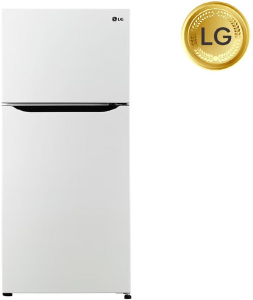 LG전자 일반형냉장고, B182W13