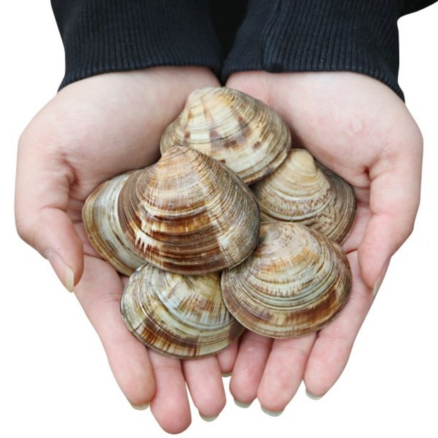 24f38e7c715e59245486b9fa25e9e5c0e4d3695cfefc2fa71f7b2e8b9616.jpg