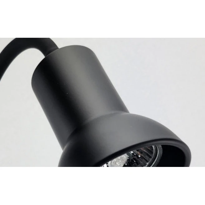 모비딕 안핑크 파충류 조명 S, 1개, 블랙