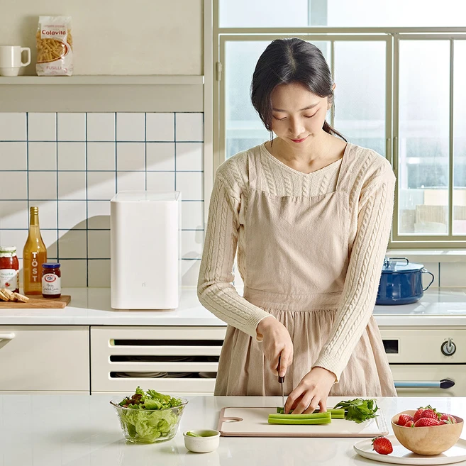 아이닉 시그니처 음식물 처리기 가정용 분쇄기 건조기 iFD01, 화이트