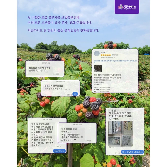 고창 토종 복분자원과 5kg 열매 생과+복분자엑기스500g+씨거름망+레시피무료제공 2024년산, 1개