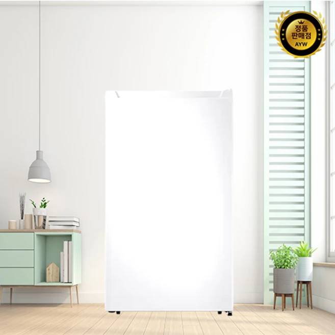 삼성전자 일반형 냉장고 89L 방문설치, 화이트, RR09BG014WW